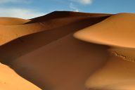 Sand dunes of the Sahara