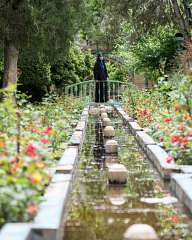 Из градините на Техеран