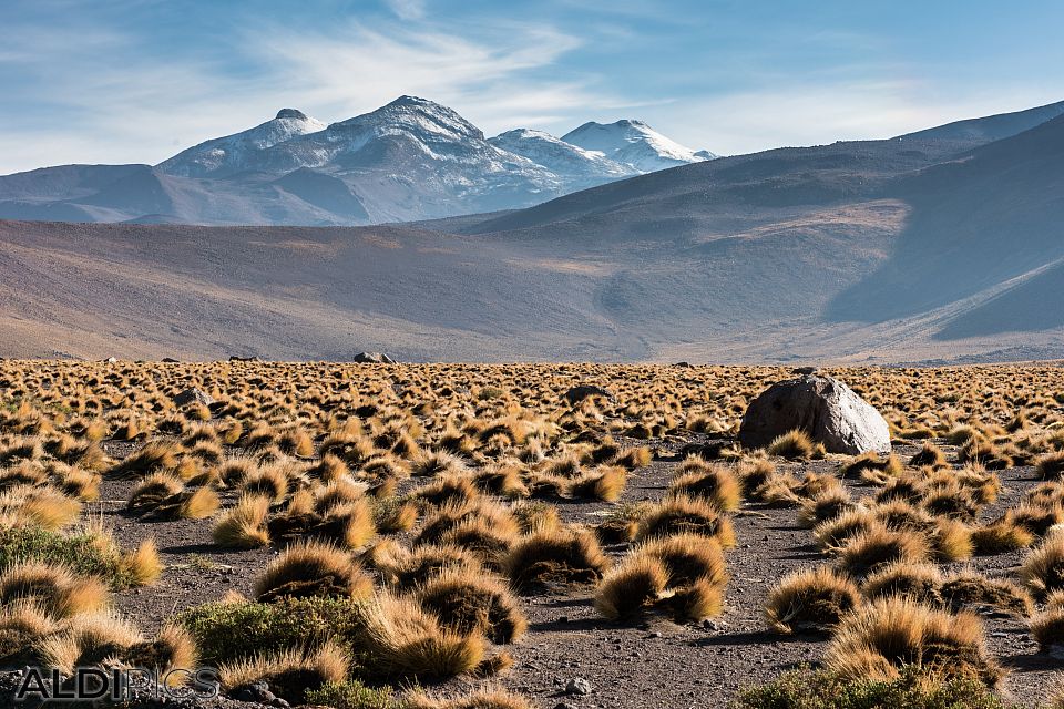 Landscapes from Atacama