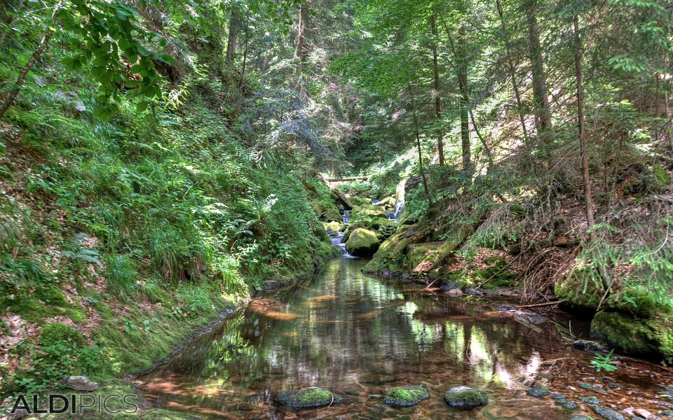 "Canyon of waterfalls" near Smolyan