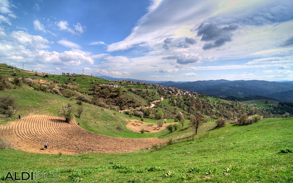 Levels in the Rhodopes