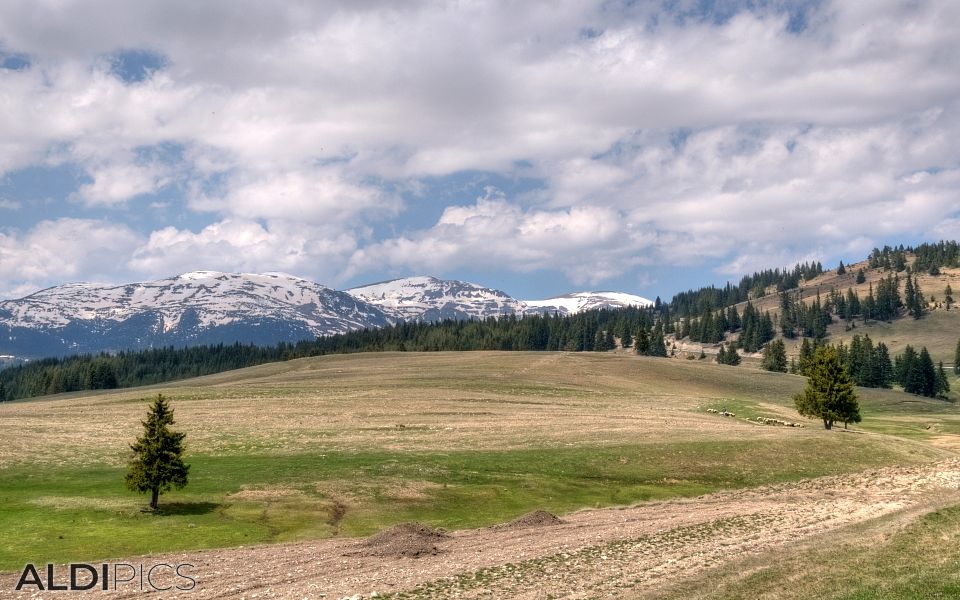 Mountain views from Belmeken