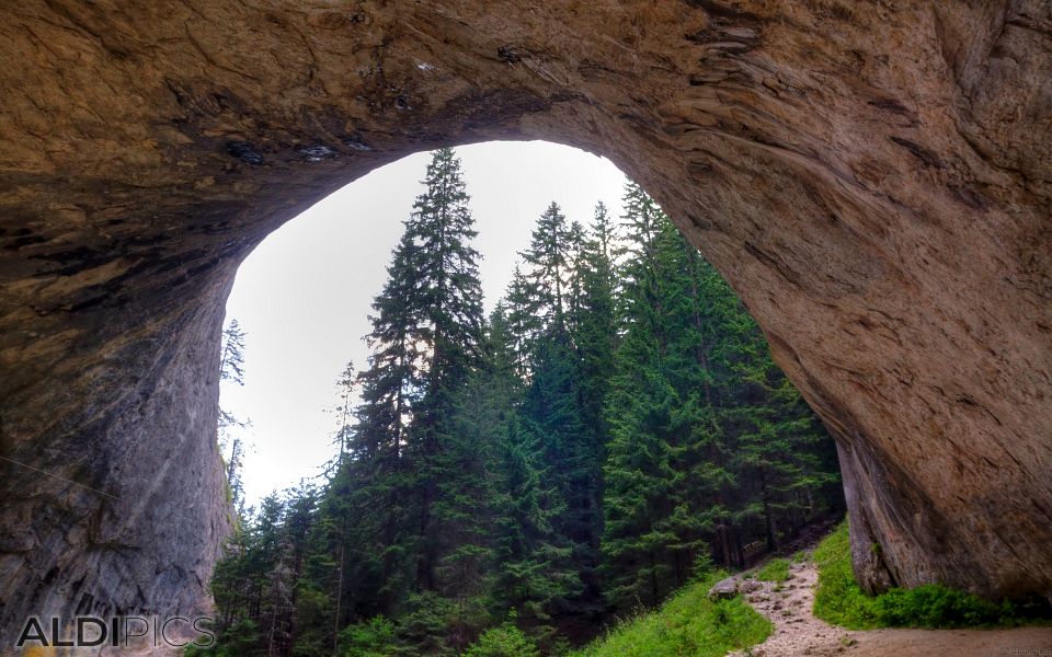 Wonderful Bridges