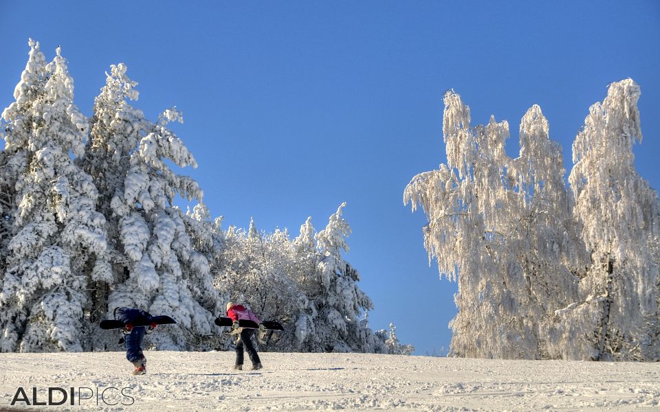 Winter landscapes from Rhodope