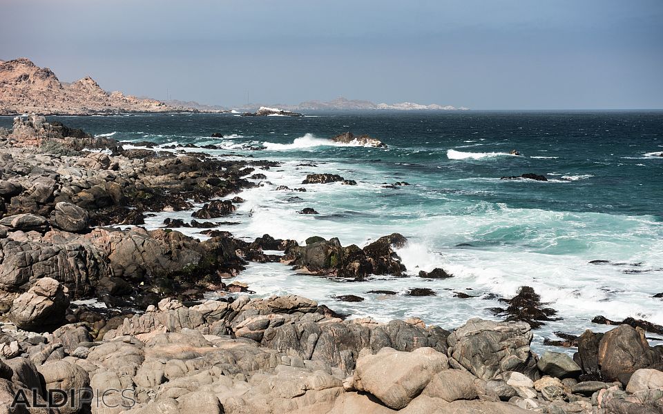 Coast of Peru