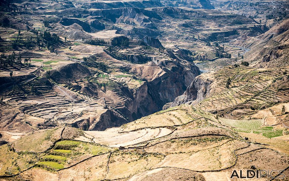 Colca canyon