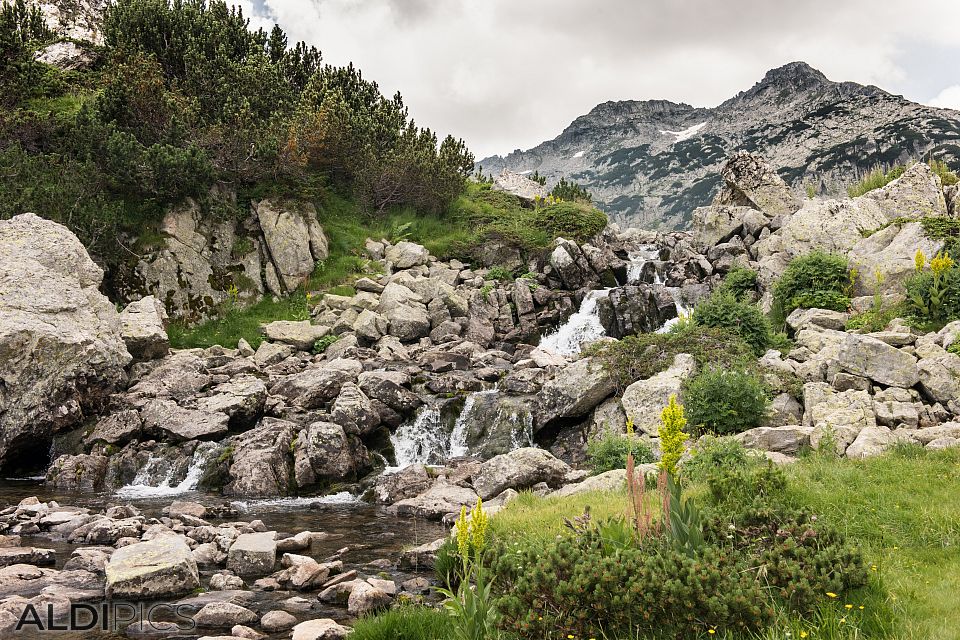 The path to the Popovo lake