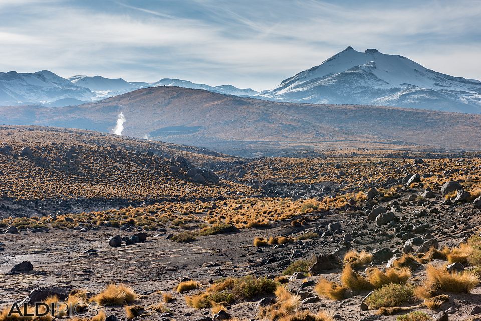 Landscapes from Atacama