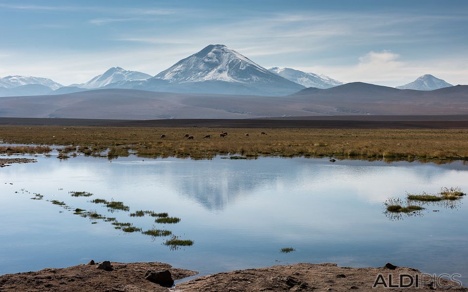 Landscapes from Atacama